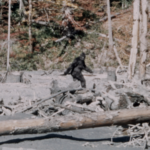#248 – Bigfoot Monster Mystery (1997)