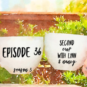Episode Thirty Six: Consumer Expectations Met and Missed